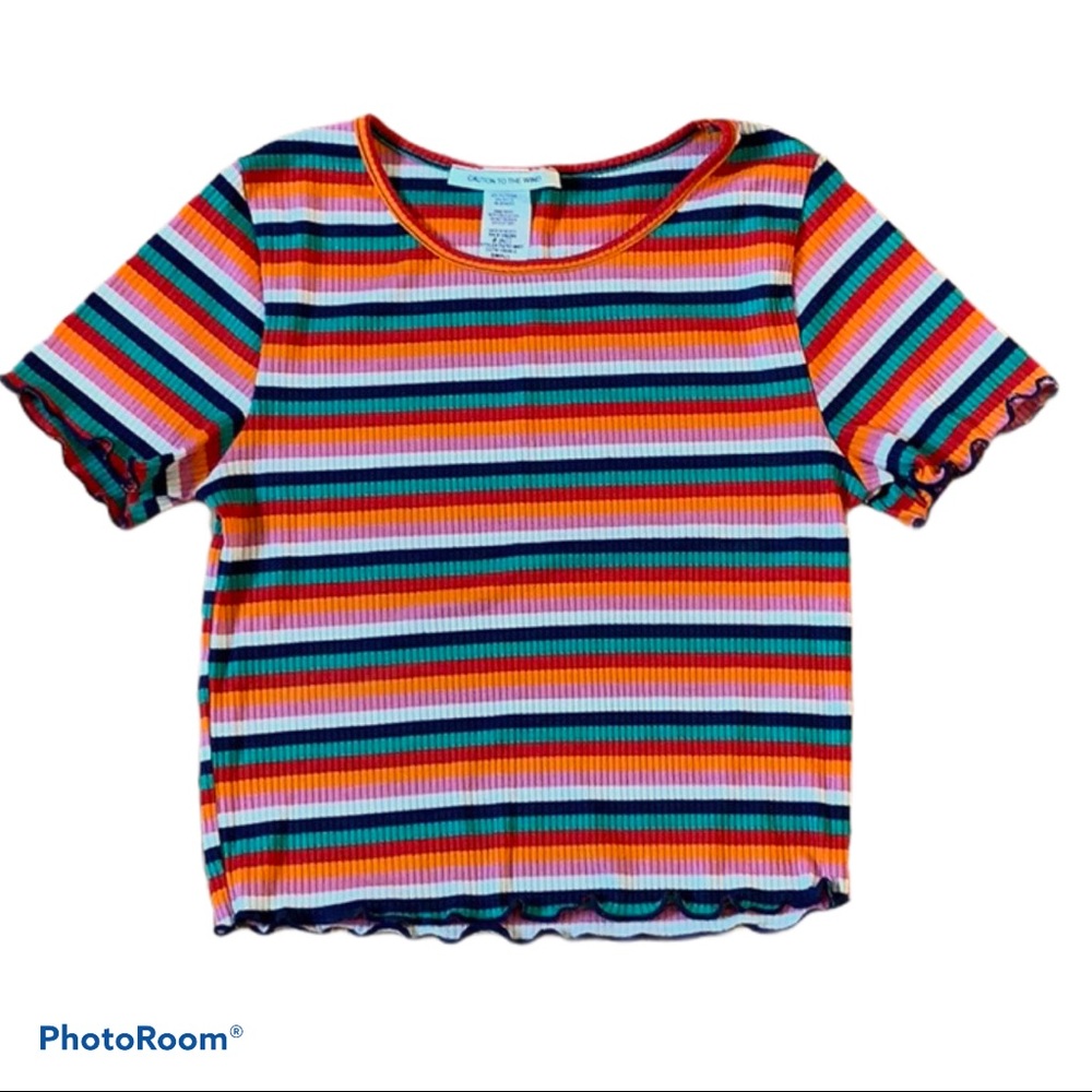 Multi Striped Short Sleeve Crop Top